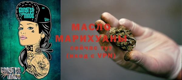 гашик Пересвет