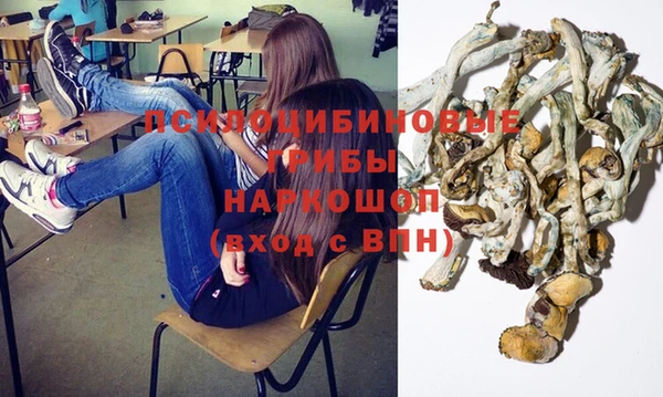 стаф Алексеевка
