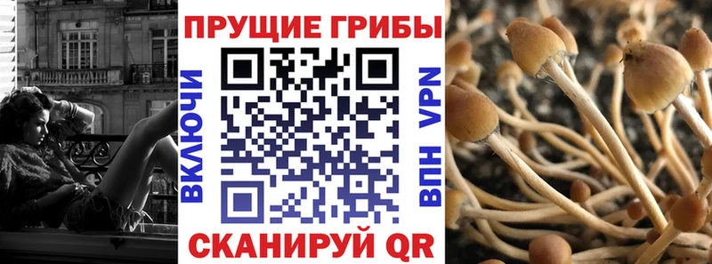 как найти закладки Чапаевск Псилоцибиновые грибы прущие грибы